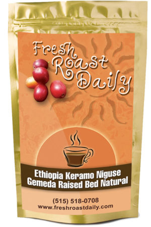 Ethiopia Keramo Niguse Gemeda Raised Bed Natural
